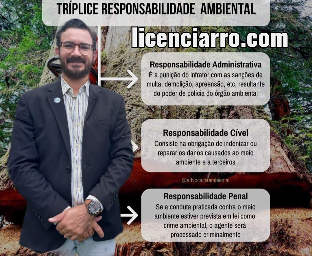 A tríplice responsabilidade se divide da seguinte forma