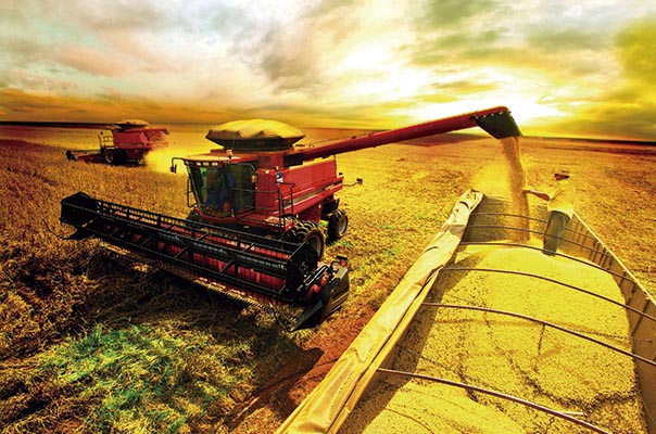 CRÉDITO AGRO E ESCRITÓRIOS REDE LICENCIAR 