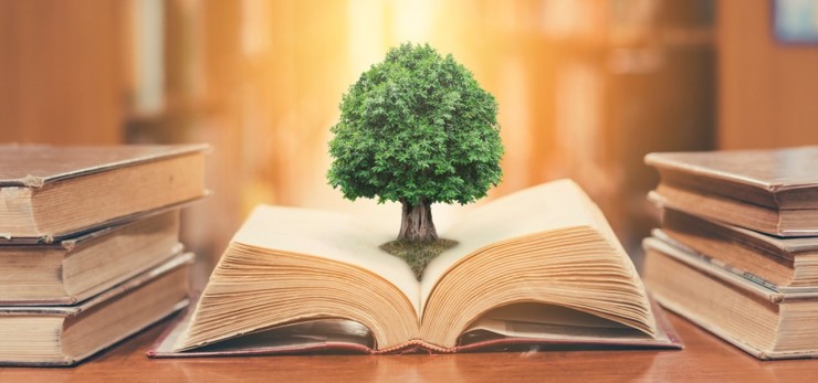 Deliberação Normativa N°25