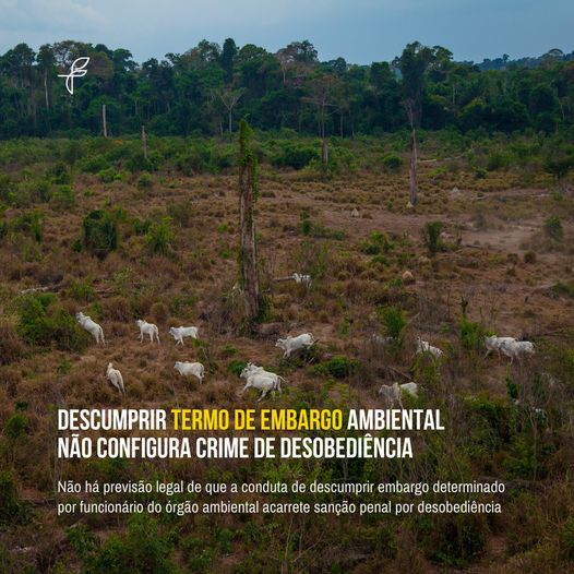 DESCUMPRIR EMBARGO AMBIENTAL, CONFIGURA CRIME DE DESOBEDIENCIA?
