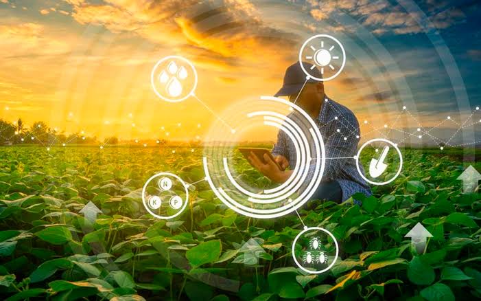 Rede Licenciar e Georreferenciamento 