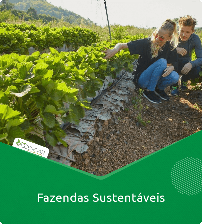  Fazendas Sustentáveis