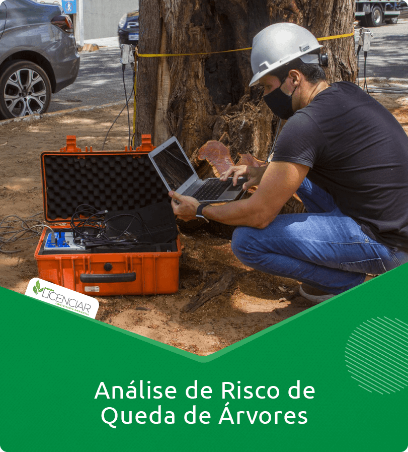 Análise de Risco de Queda de Árvores