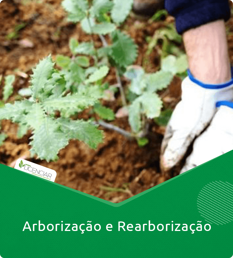 Arborização e Rearborização