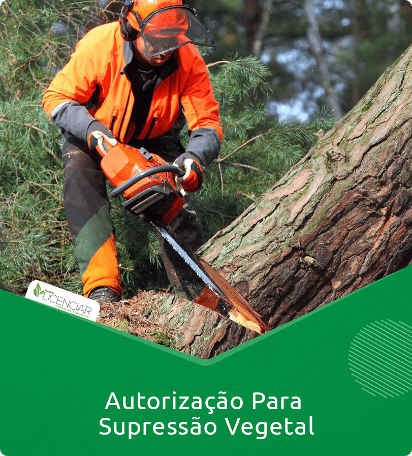 Autorização Para Supressão Vegetal