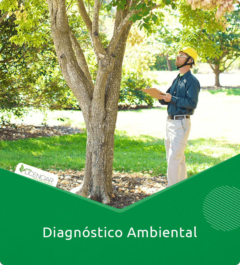 Diagnóstico Ambiental