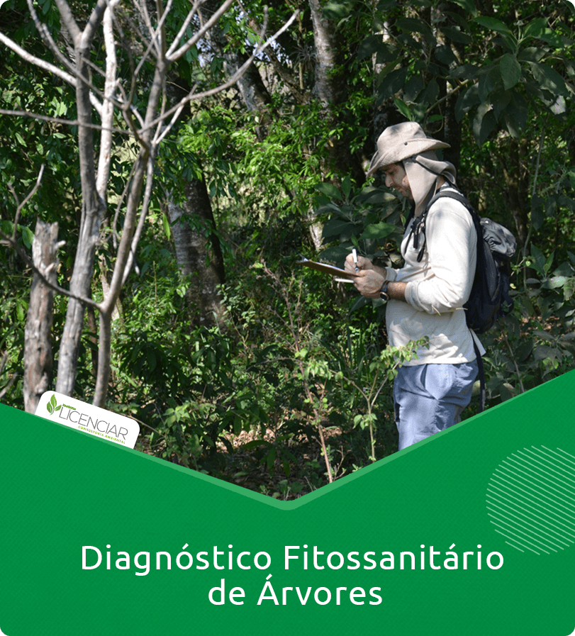Diagnóstico Fitossanitário de Árvores