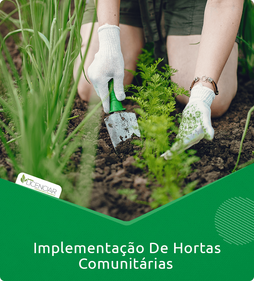Implementação de Hortas Comunitárias