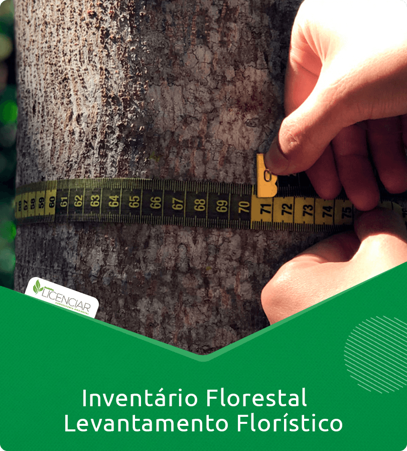 Inventário Florestal / Levantamento Florístico