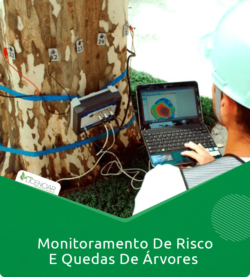 Monitoramento de Risco e Quedas de Árvores