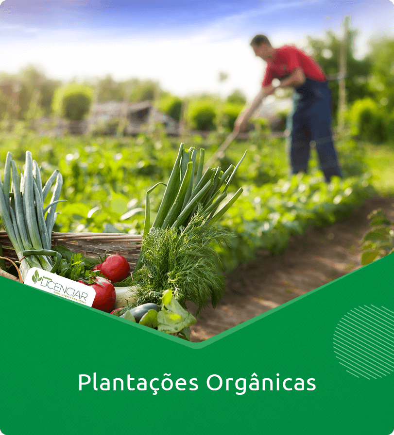 Plantações Orgânicas
