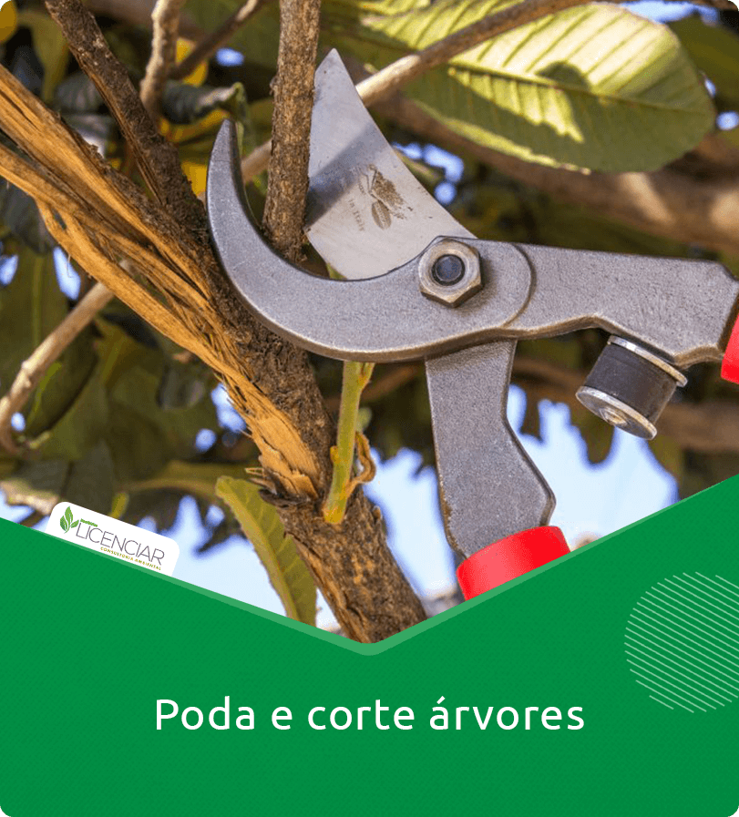 Poda e corte de árvores