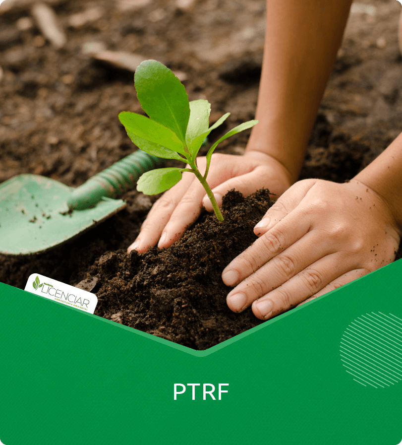 Projeto Técnico de Reconstituição da Flora