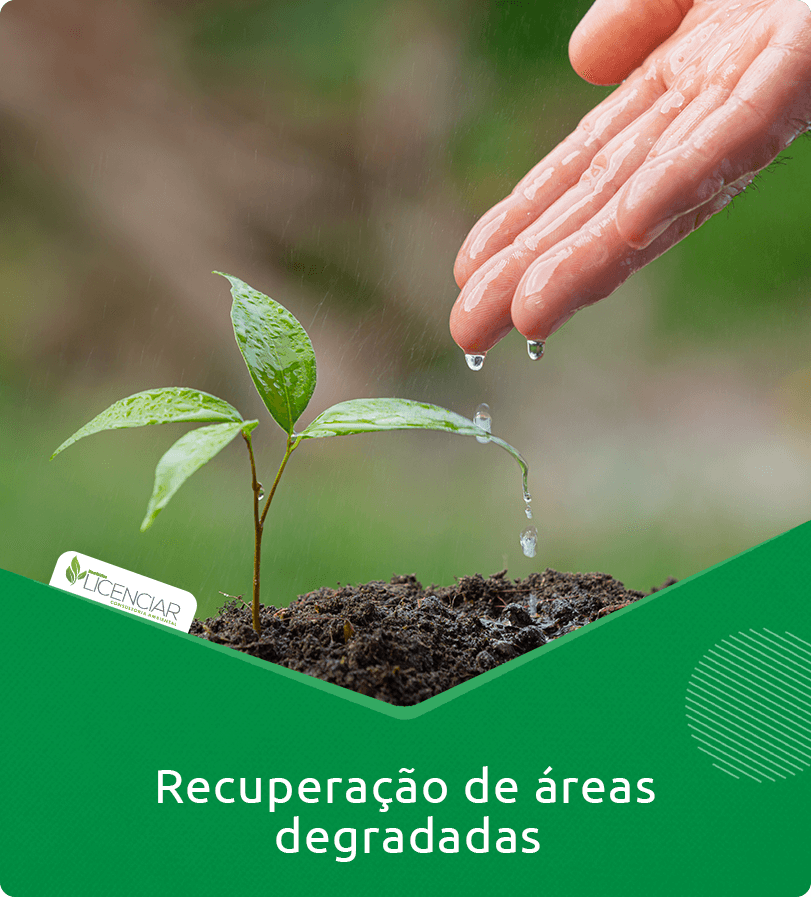 Recuperação de áreas degradadas